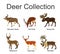 Deer collection vector illustration isolated on white background. Mountain nyala antelope. Moose elk. Reindeer buck.