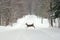 Deer Crossing Road