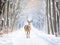 Deer Crossing Road