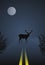 Deer crossing the road at night on sky and moon ba