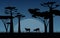 Deer in Dark Night Savanna Landscape Africa Wildlife Illustration