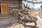 Deer eats hay near a wooden hut.