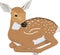 Deer Fawn Illustration