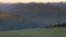 deer feeding at hurricane ridge on the olympic peninsula