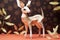 Deer figurine made of paper triangles. Japanese origami, paper art style