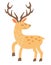 Deer. Flat cartoon vector illustration