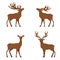 Deer flat illustration