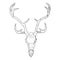 Deer fossilized skull hand drawn sketch image. Horned artiodactyl animal bones fossil imagedrawing. Vector stock outline