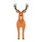 Deer front view vector symbol. Head mammal flat reindeer concept