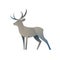 Deer graphic color illustration for the modern gradient design, a plastic form of animal