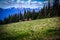 Deer grazing on meadow with mountain landscape at Hurricane Ridge