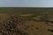 Deer grazing in summer in the tundra. View from above. A herd of