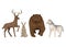 Deer, hare, bear and wolf. Forest animals, isolated characters on white background, vector cartoon illustration