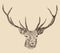 Deer head engraving style
