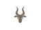 Deer head and hind face with big horns for logo design