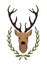 Deer head in laurel wreath. Color