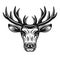 Deer head vector illustration in monochrome style