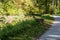 Deer Heads Toward River along Towpath Trail