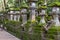 Deer in the Kasuga Grand Shrine, Nara Park Area