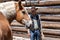 Deer Lodge, Montana - June 30, 2021: Horse at the Grant-Kohrs National Historic Site Ranch, with a rancher farmhand park ranger