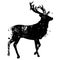 Deer male silhouette grunge silhouette
