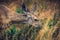 Deer in the Meadow, Yosemite National Park, California