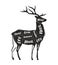 Deer meat cutting. Menu for restaurant or butcher shop. Vector