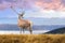 Deer on mountain background