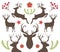 Deer & Nature Set decoration elements white background