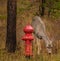 Deer near the Fire Hydrant