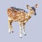 Deer pixel art, isolated square animal, vector