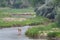 Deer by the Platte River in Early Morning