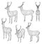 Deer polygonal lines illustration