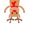 Deer raindeer head face hanging upside down. Red nose, scarf, hornd. Merry Christmas. Happy New Year. Cute cartoon kawaii funny