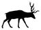 Deer silhouette.
