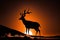 a deer silhouetted against the sun, with its head turned to the sky