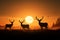 Deer silhouettes grace a radiant meadow, celebrating wildlife in nature