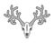 Deer skull isolated. Moose skeleton head. vector illustration