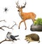 Deer, spider. hedgehog, cuckoo on a tree branches.