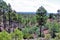 Deer Springs Outlook, Apache Sitgreaves National Forest, Navajo County, Arizona, United States