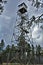 Deer Springs Outlook, Apache Sitgreaves National Forest, Navajo County, Arizona, United States