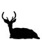 Deer stag silhouette