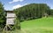 Deer stand along edge of meadow, horizontal view