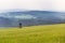 Deer stand, wooden hunters high seat hide on field, summer day, cloudy dramatic sky