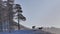 Deer Standing on Snow Covered Slope