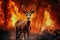 A deer stands in front of a forest engulfed in flames, highlighting the threat of a raging fire to wildlife and the environment