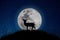 The deer stands on the mountain a large moon background in the night that the stars are full of sky