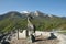 Deer Statue - Picos de Europa - Spain