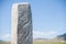 Deer stone in Mongolia