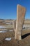 Deer stones in the steppe